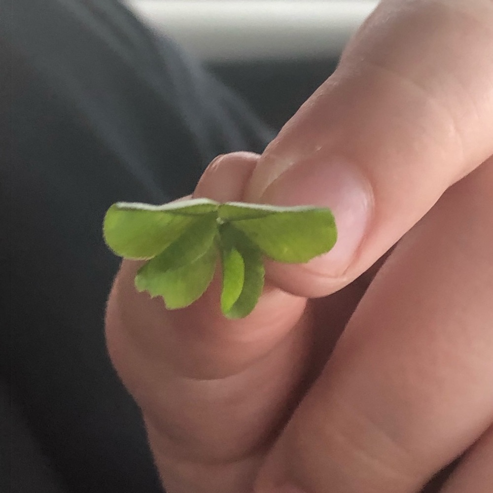 Meet your Posher, Mary